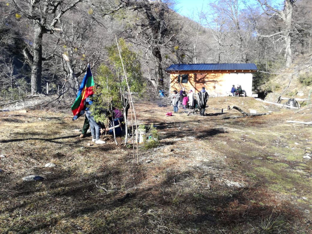 No al desalojo de la comunidad Buenuleo