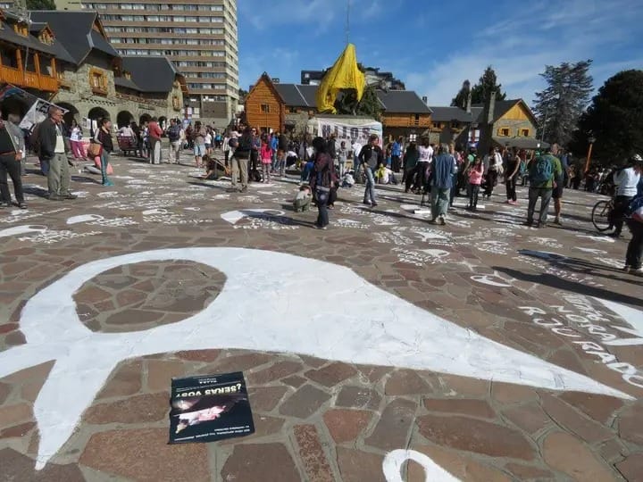 Graciela Bedini: la memoria en la plaza